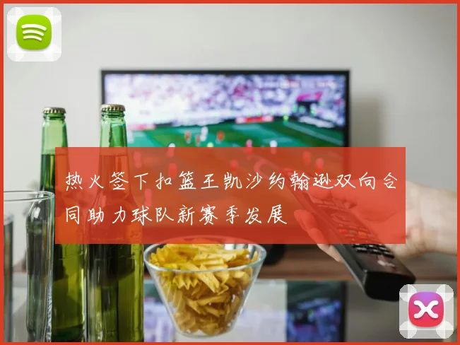 热火签下扣篮王凯沙约翰逊双向合同助力球队新赛季发展
