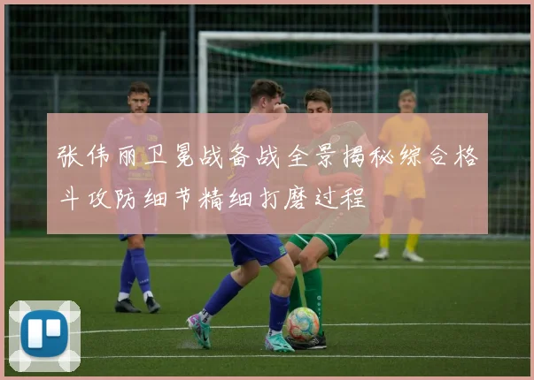 张伟丽卫冕战备战全景揭秘综合格斗攻防细节精细打磨过程